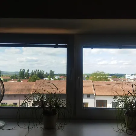 Topolský Pivovar, Restaurace A Topolná